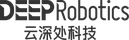 Deep Robotics