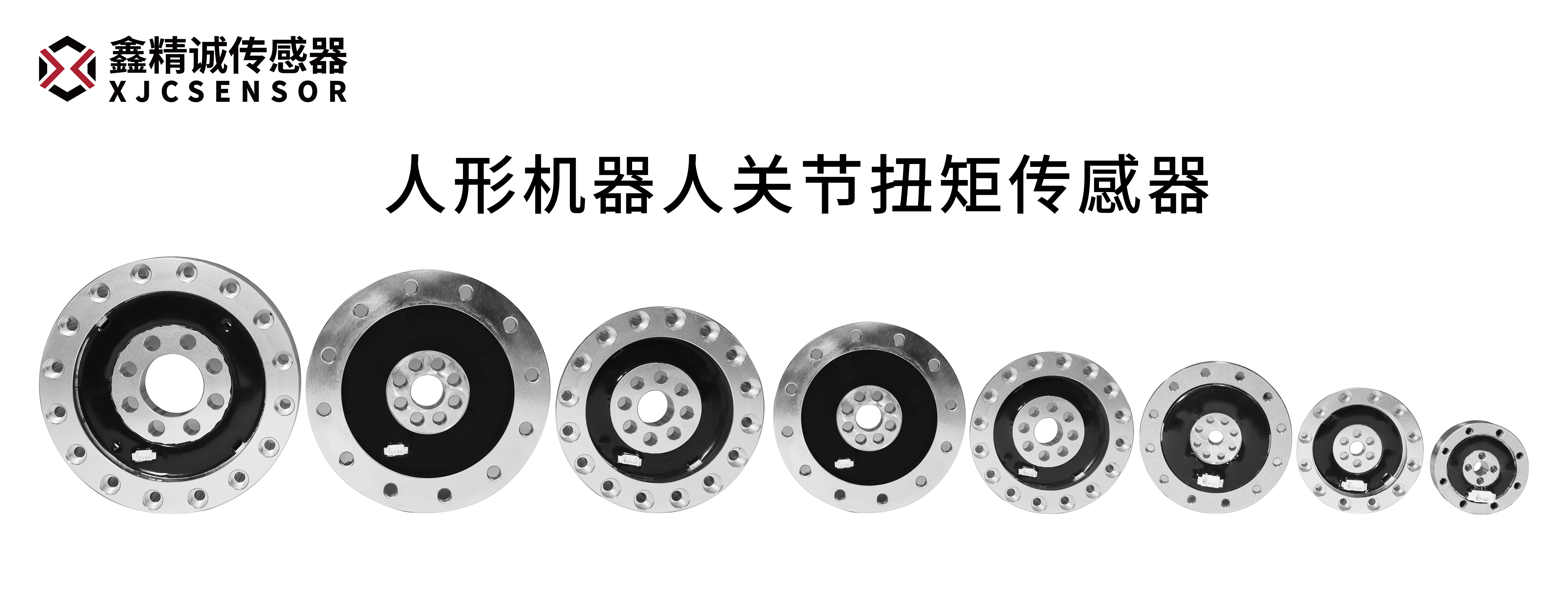 Humanoid Robot Joint Torque Sensor