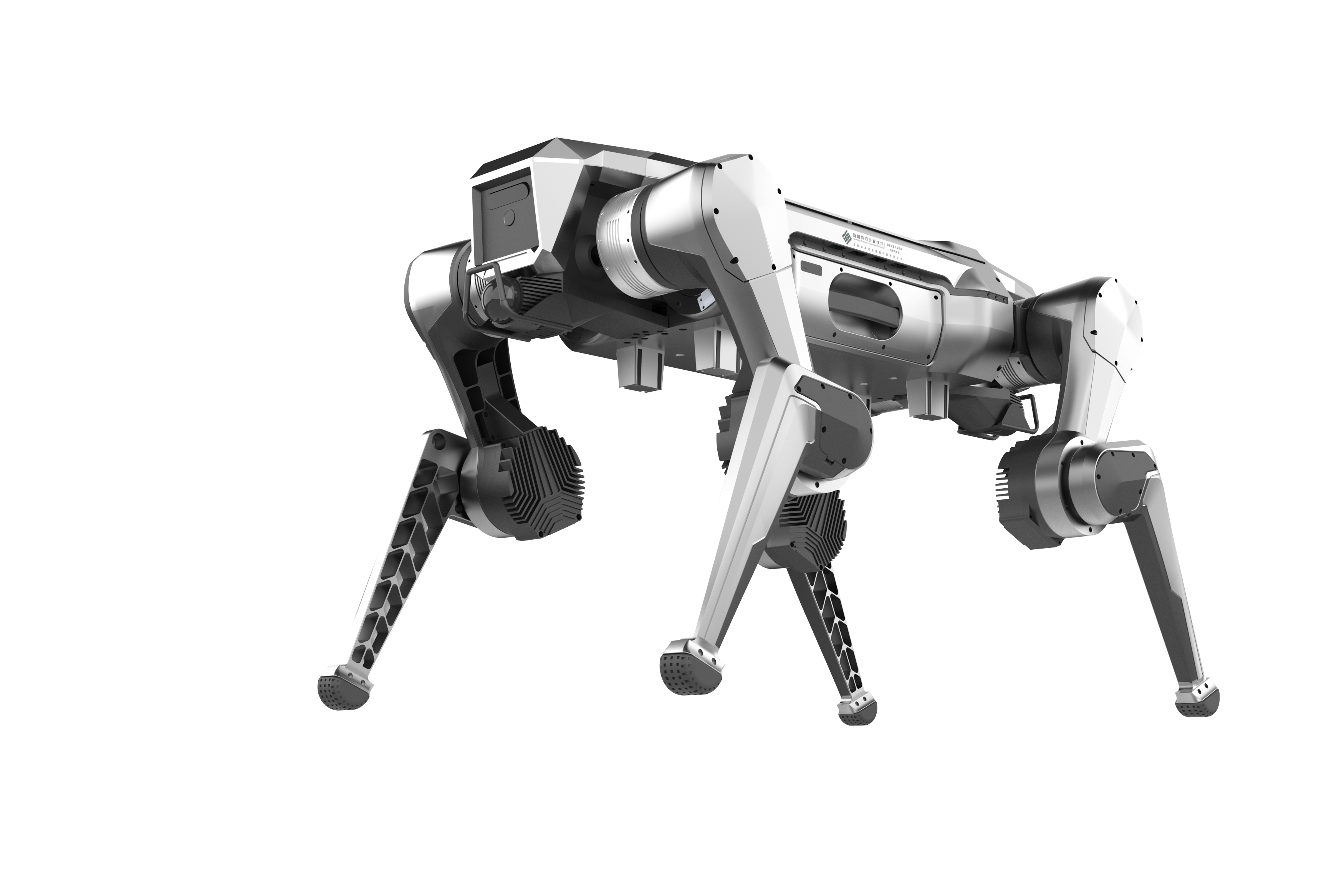 Outdoor All-Terrain Quadruped Robot