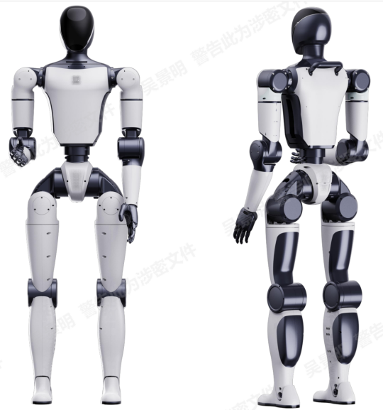 Humanoid Robot C1