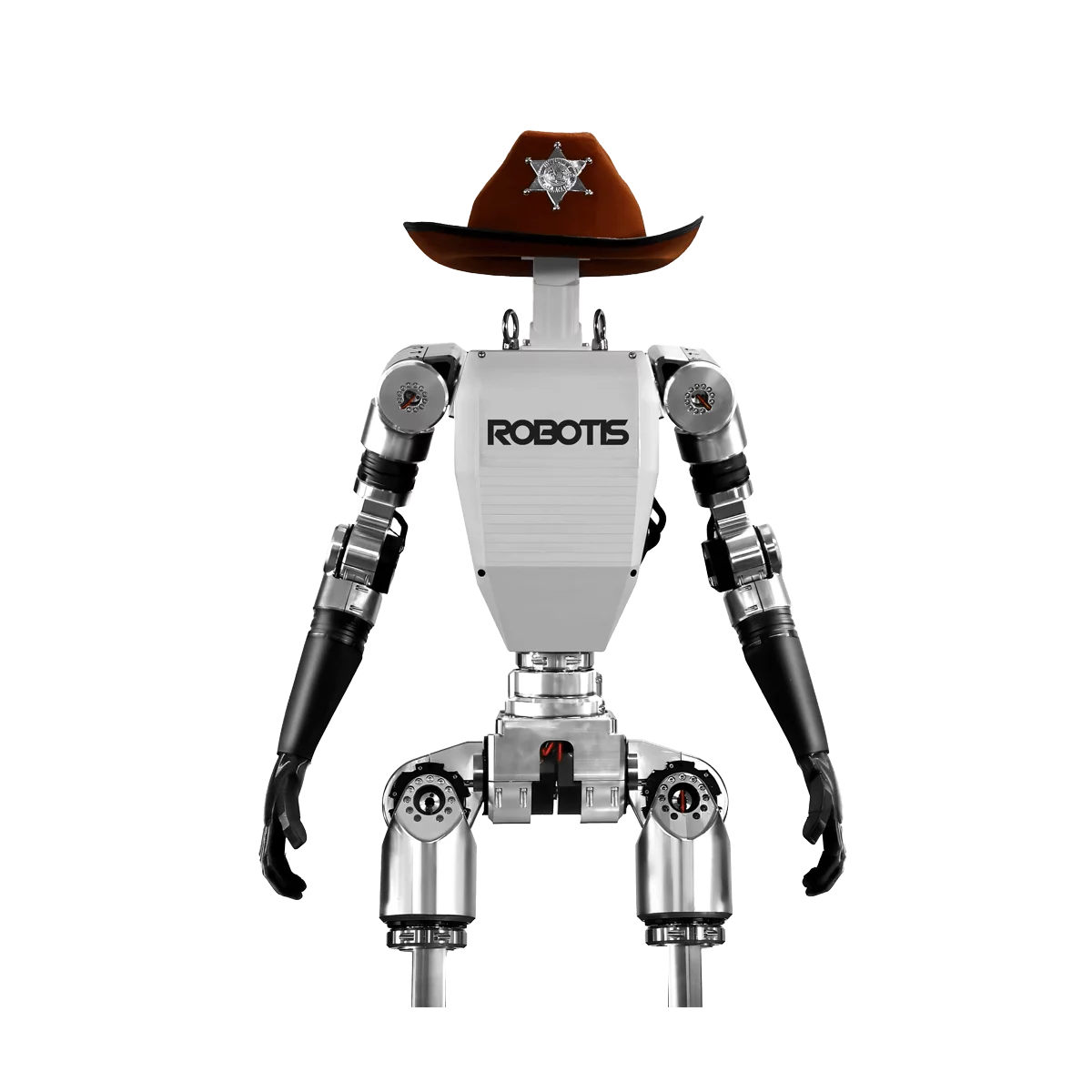 AI Sapiens K0