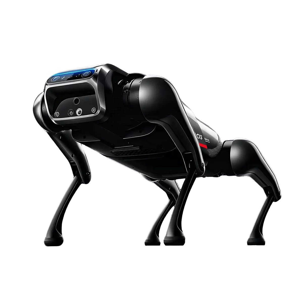 CyberDog