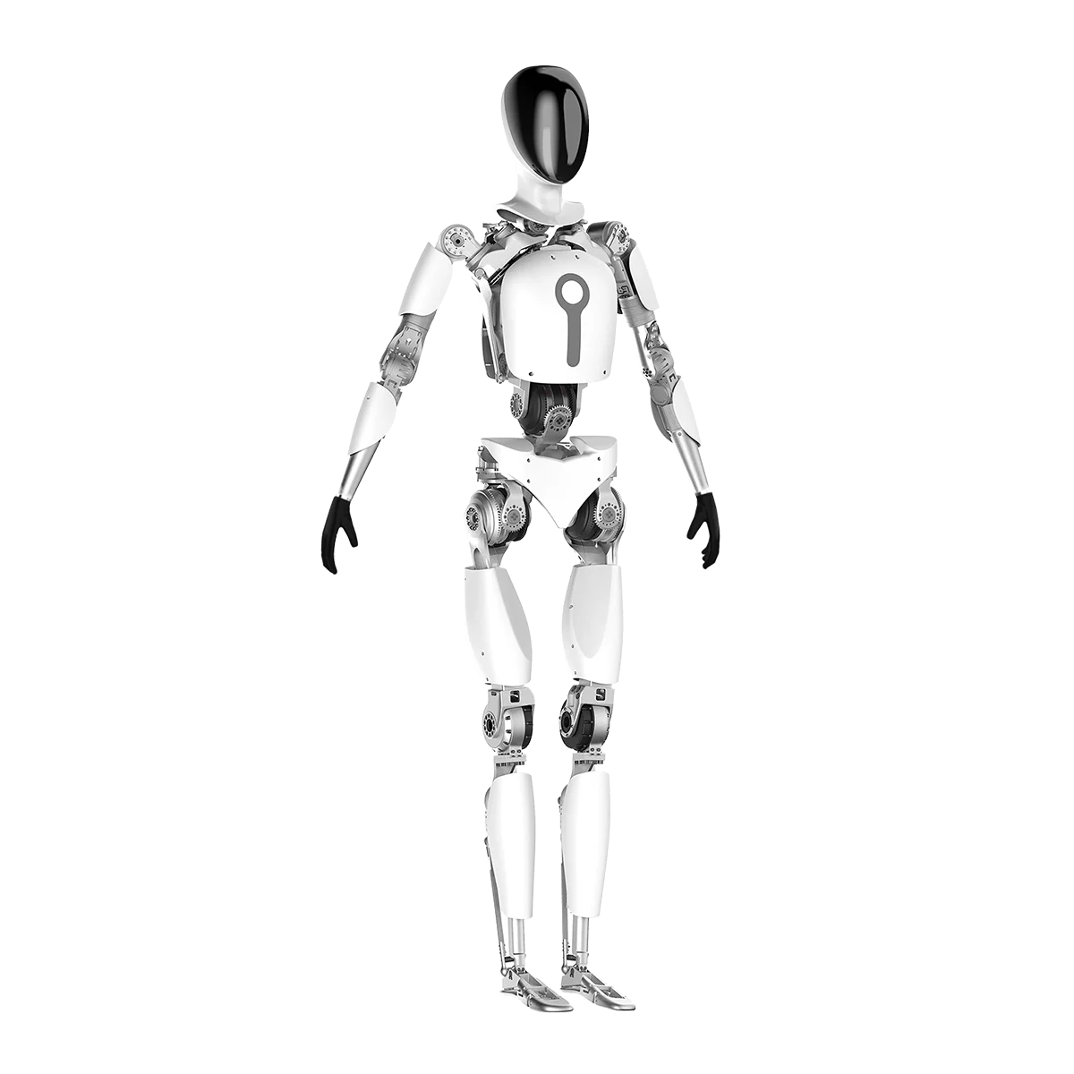 T1