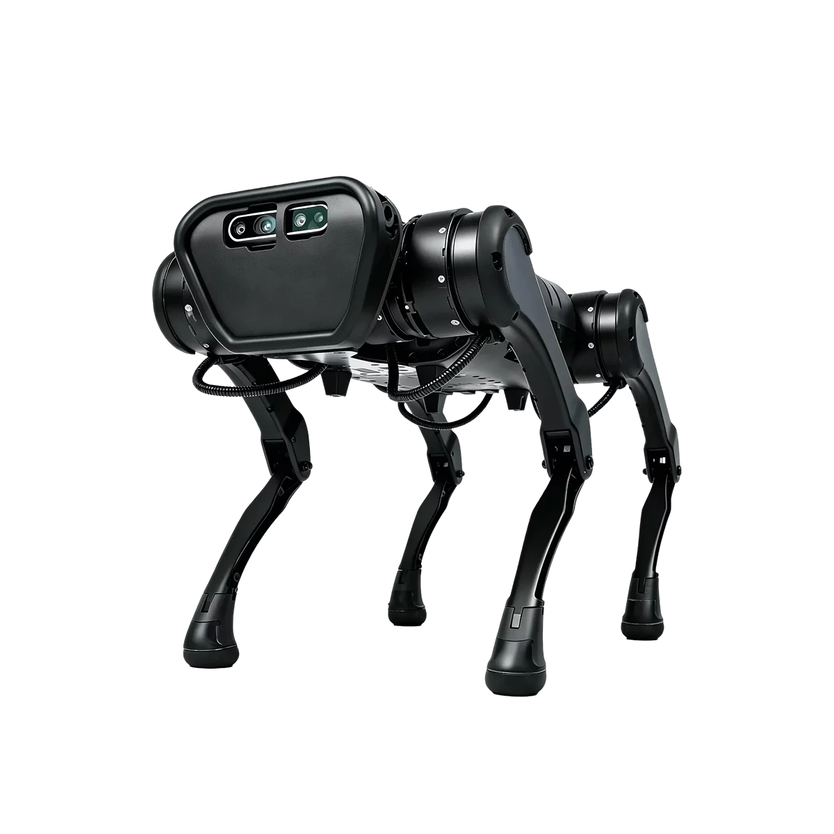 A1