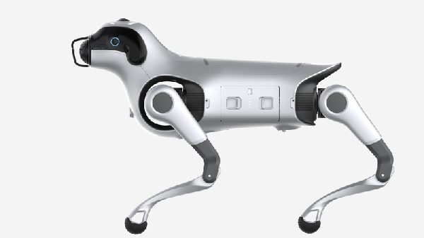 Glide Momentum · Tutu robot dog